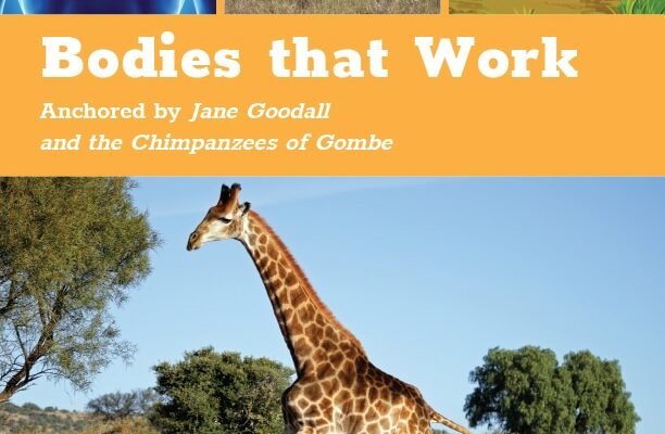 Cover of "Readtopia Teacher Guide: Bodies that Work" Anchored by Jane Goodall and the Chimpanzees of Gombe.