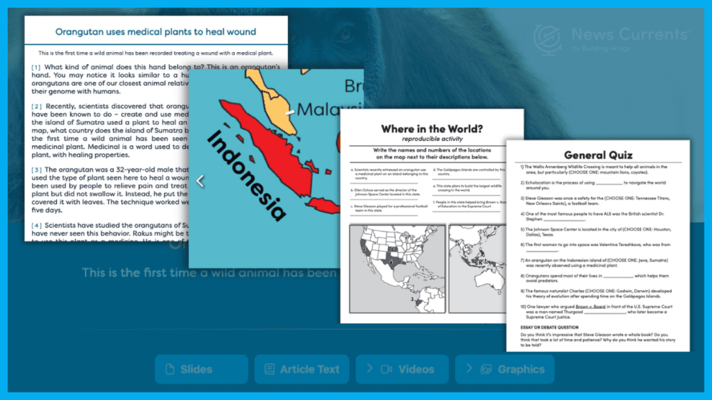 Blue background with screenshots of instructional materials to build vocabulary using News Currents including an animal story for students, a map, and several lessons for students to demonstrate knowledge.